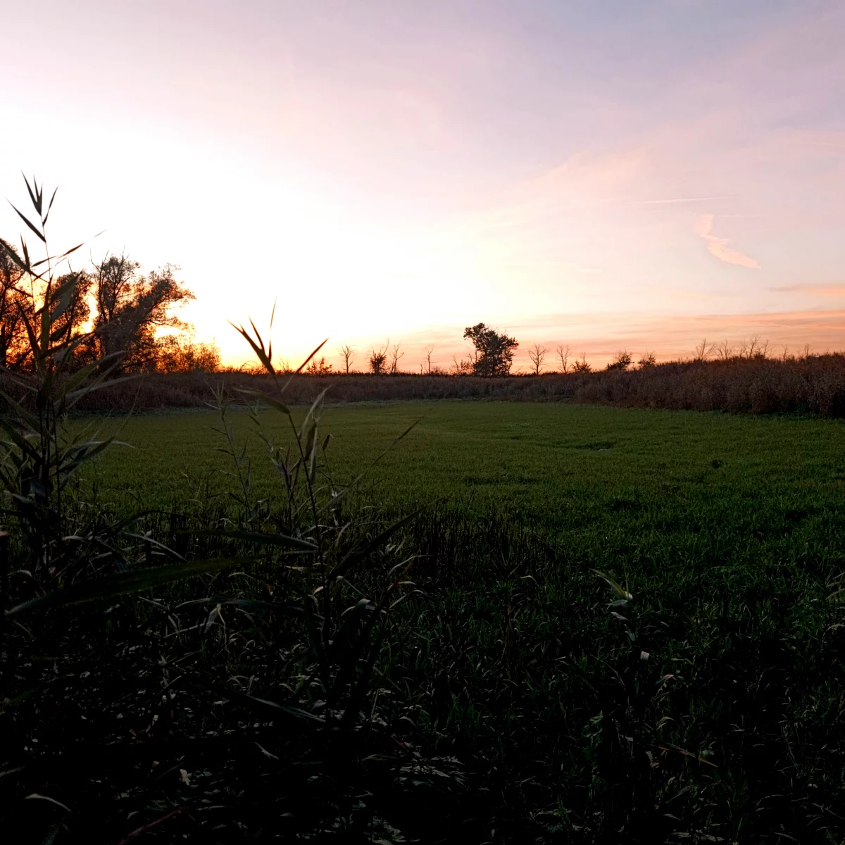 Ausgetrockneter Ackerteich 