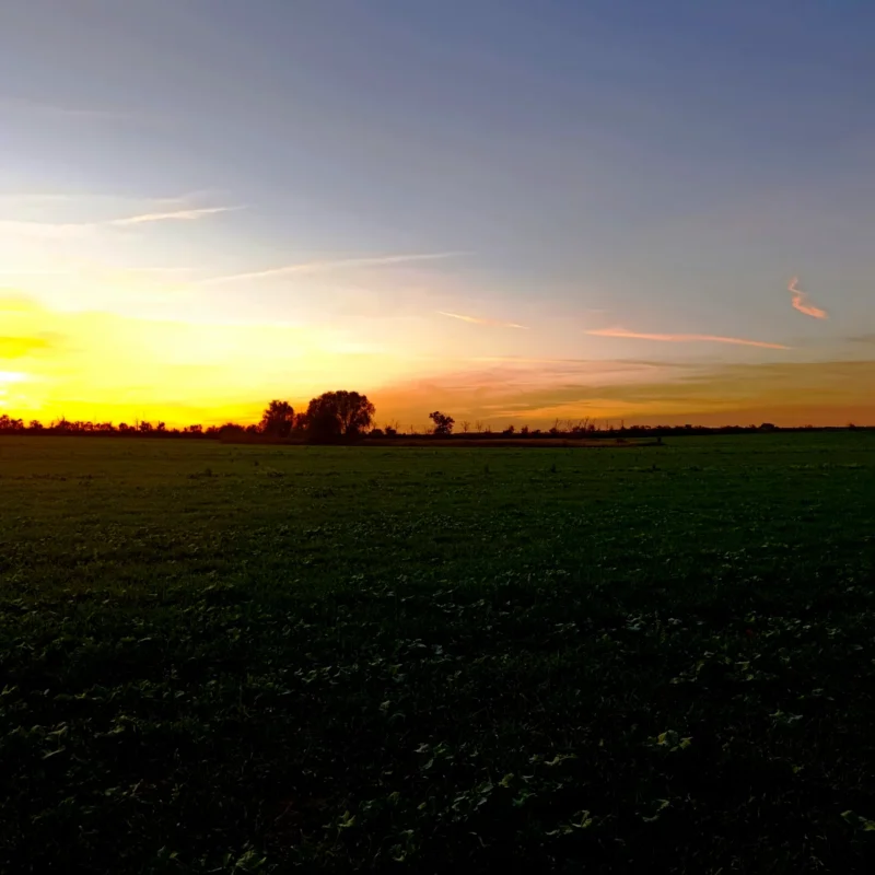 Ackerteich bei Sonnenuntergang