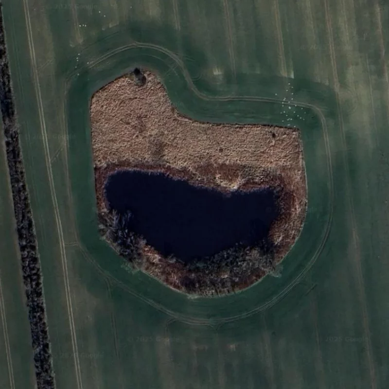 Google Maps Nahaufnahme vom Ackerteich