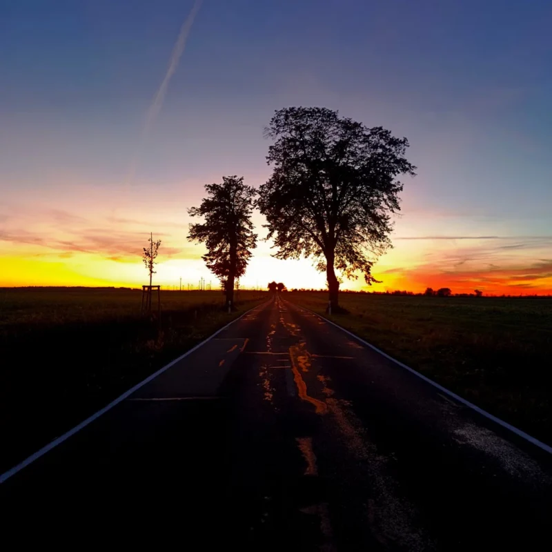 Rückweg nach Hause von der Ackerteichwanderung