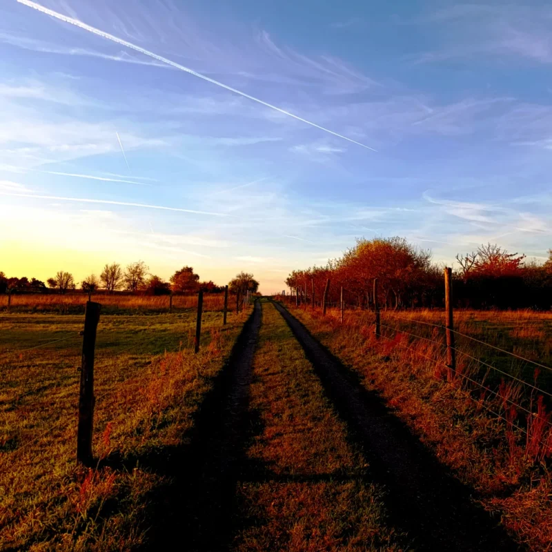 Wanderweg durch Gartensparte