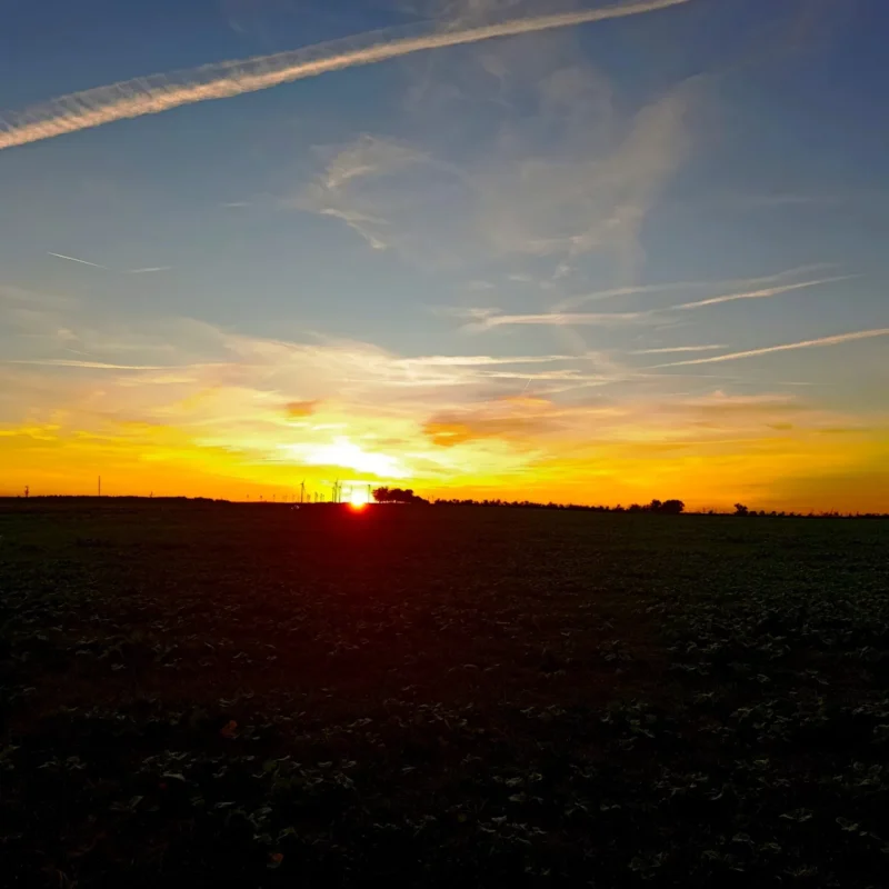 Sonnenuntergang über dem Acker