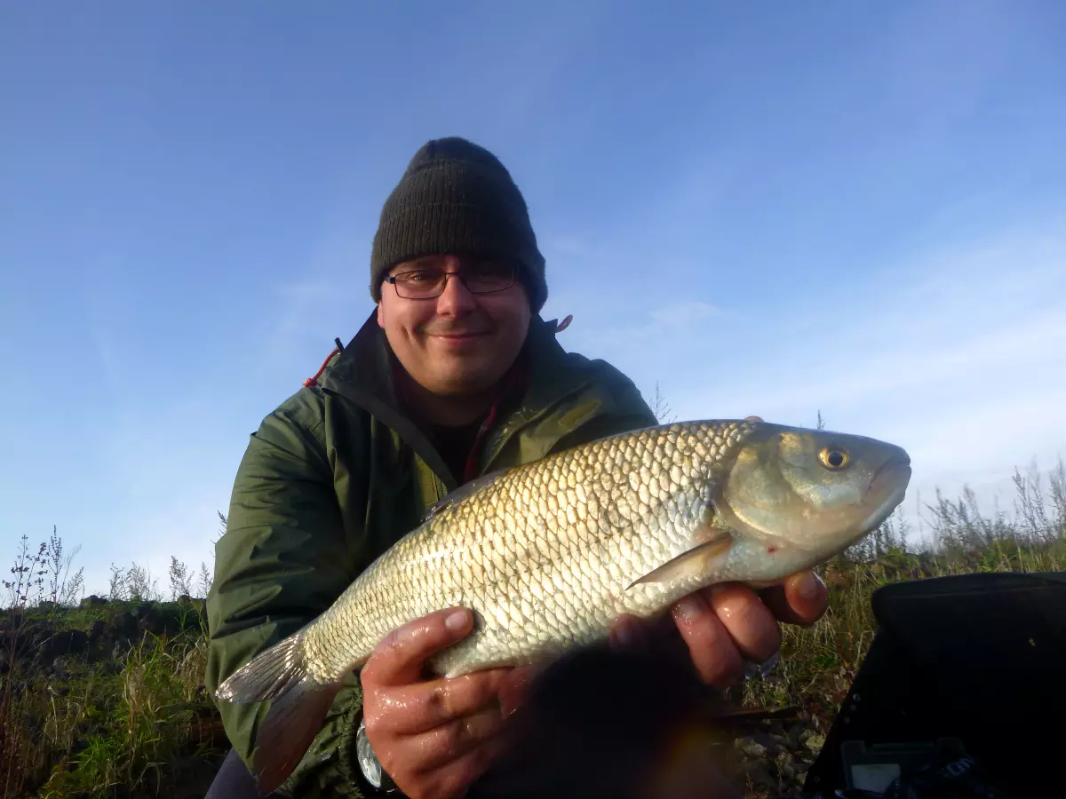 gefangener Aland an der Elbe mit Guru X-Change Distance Feeder