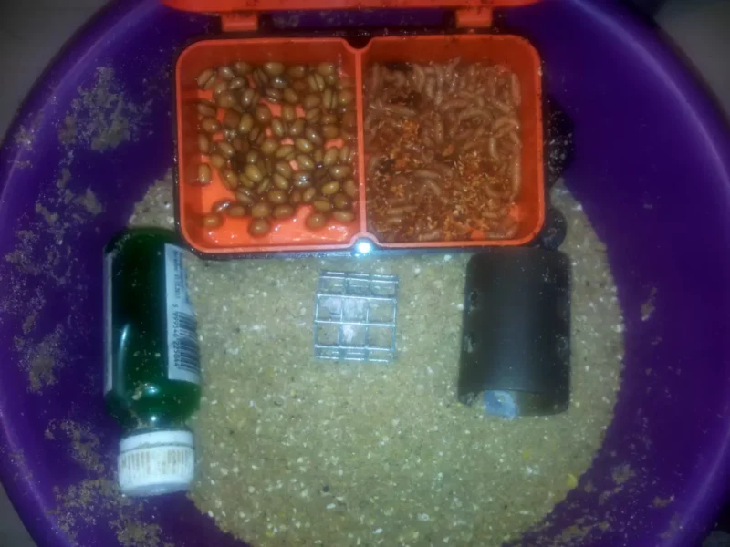 Angelfutter und Köder zum Winkelpickern im Winter