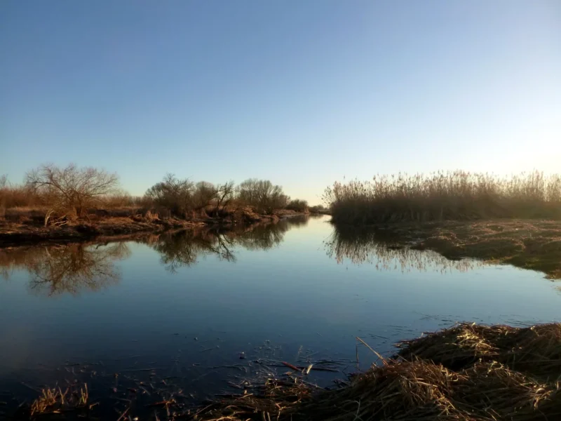 kleiner aufgestauter Graben im März