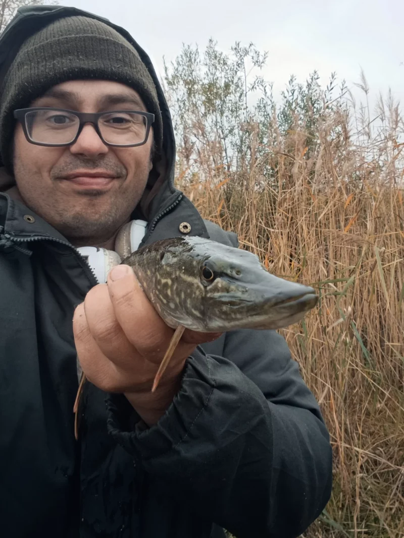 Christoph mit kleinem Hecht, der beim Stippen auf Köderfische im Oktober biss