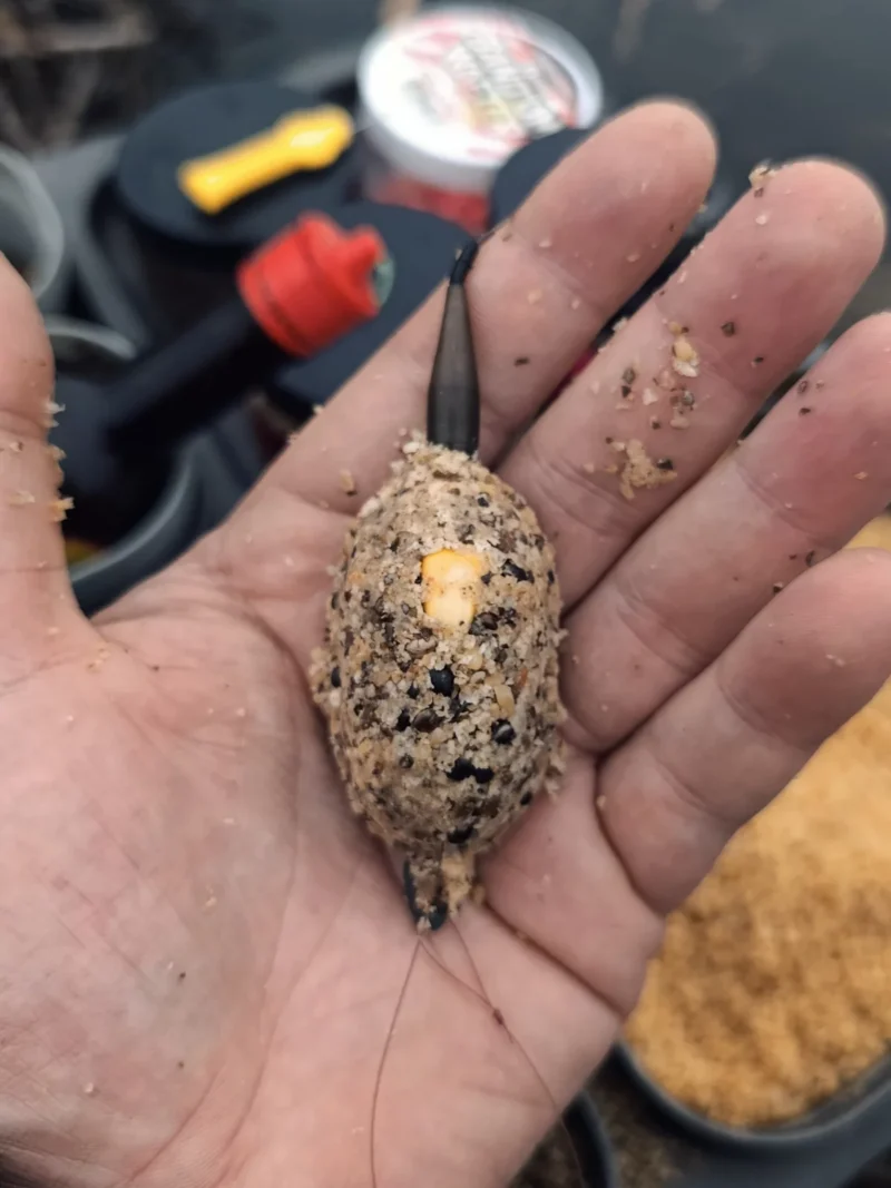Method Mix mit Hanf und Mais für das Method Feeder Angeln im Oktober