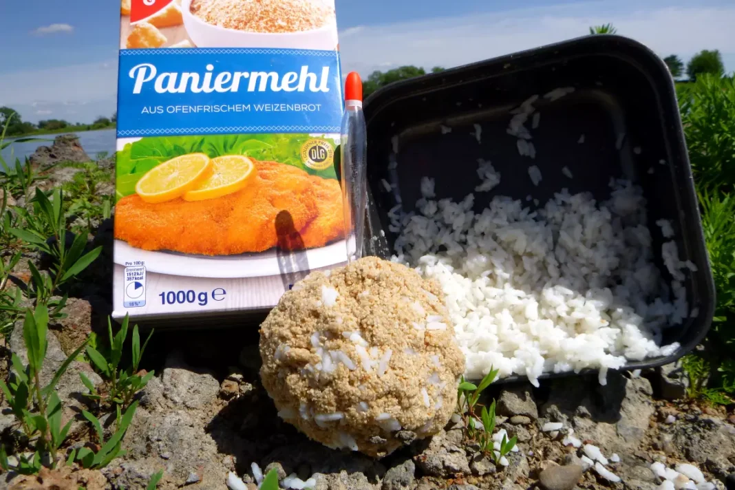 Angeln im Mai mit Reis im Futter