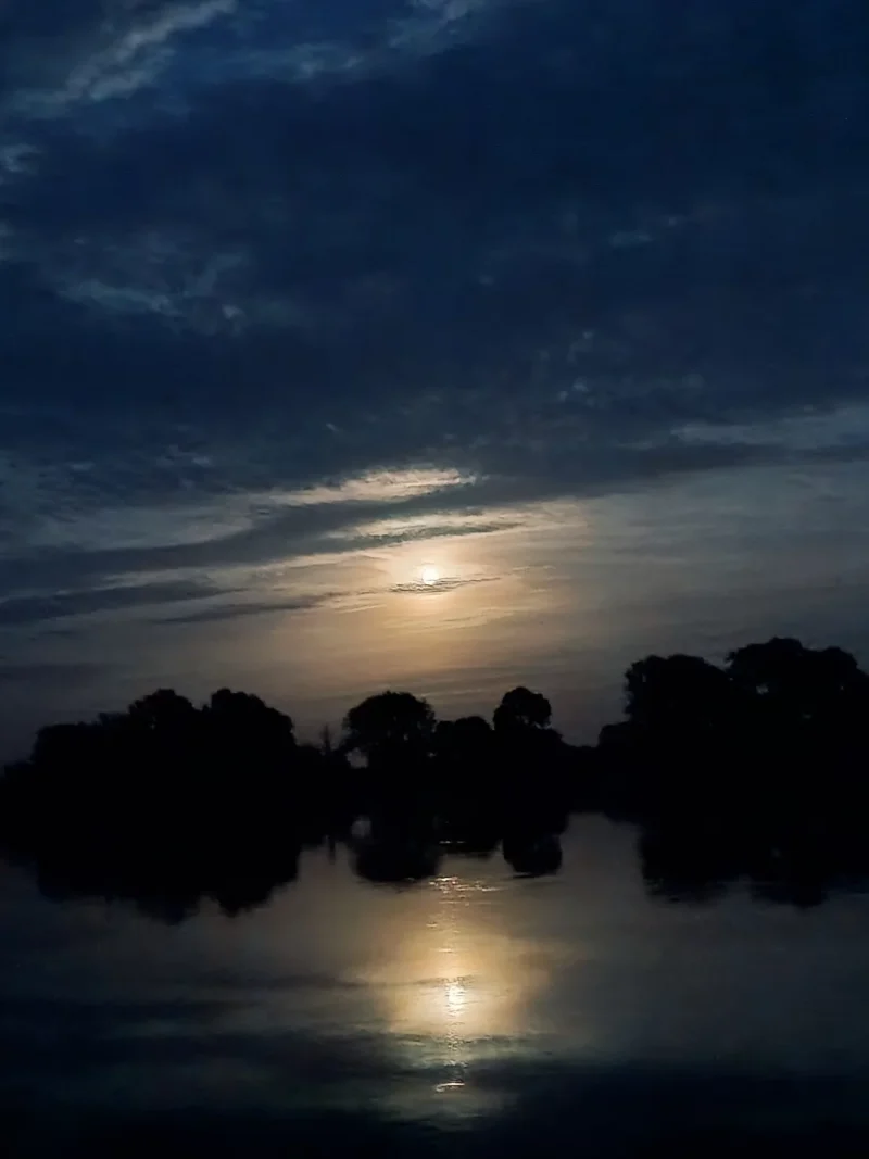 Mond beim Nachtangeln im September über der Elbe