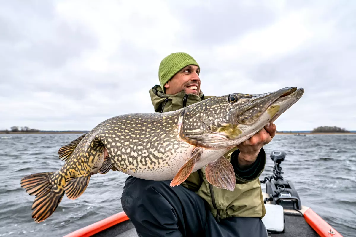 Angler mit kapitalem Hecht und Köder