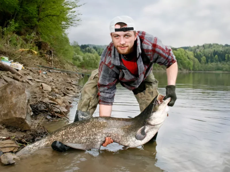 Angler mit Wels