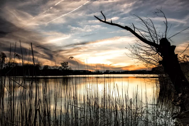 Baggerloch an der Elbe