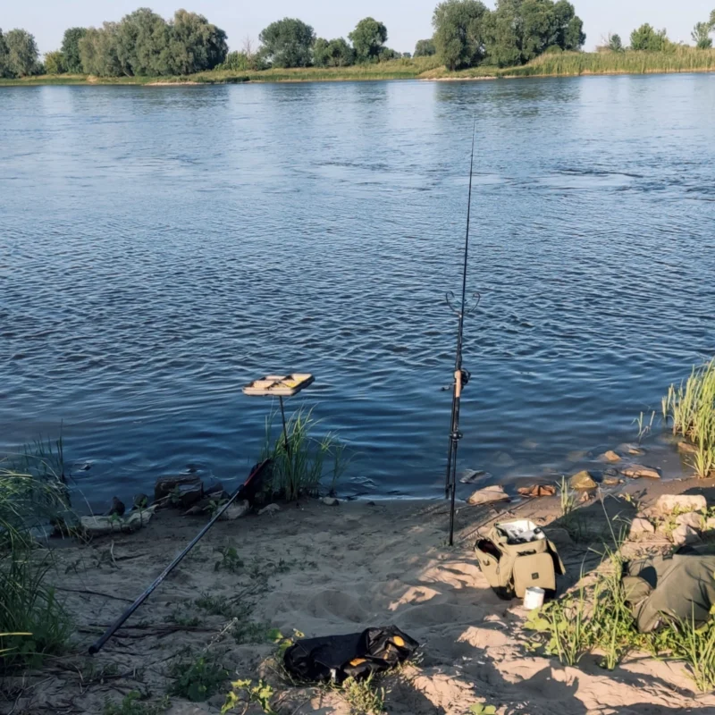 Bait Waiter beim Feederangeln an der Elbe