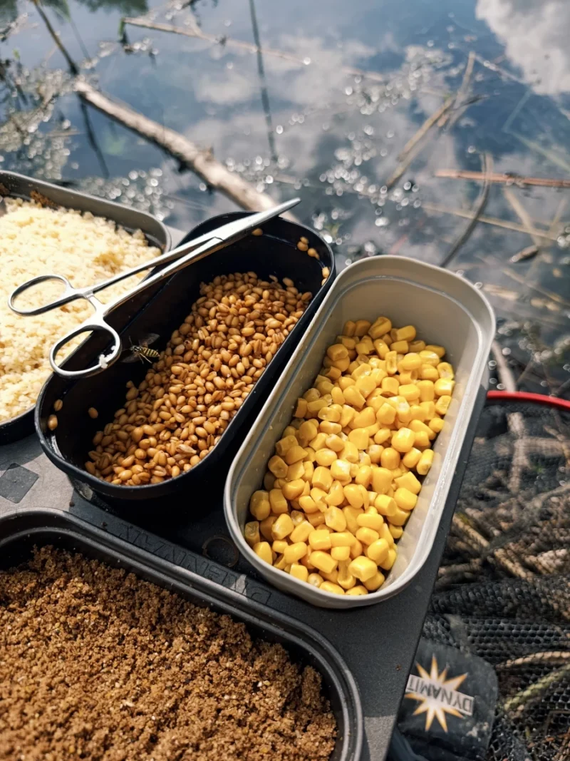 Matchangeln Bait Waiter mit Mais, Pellets und Couscous