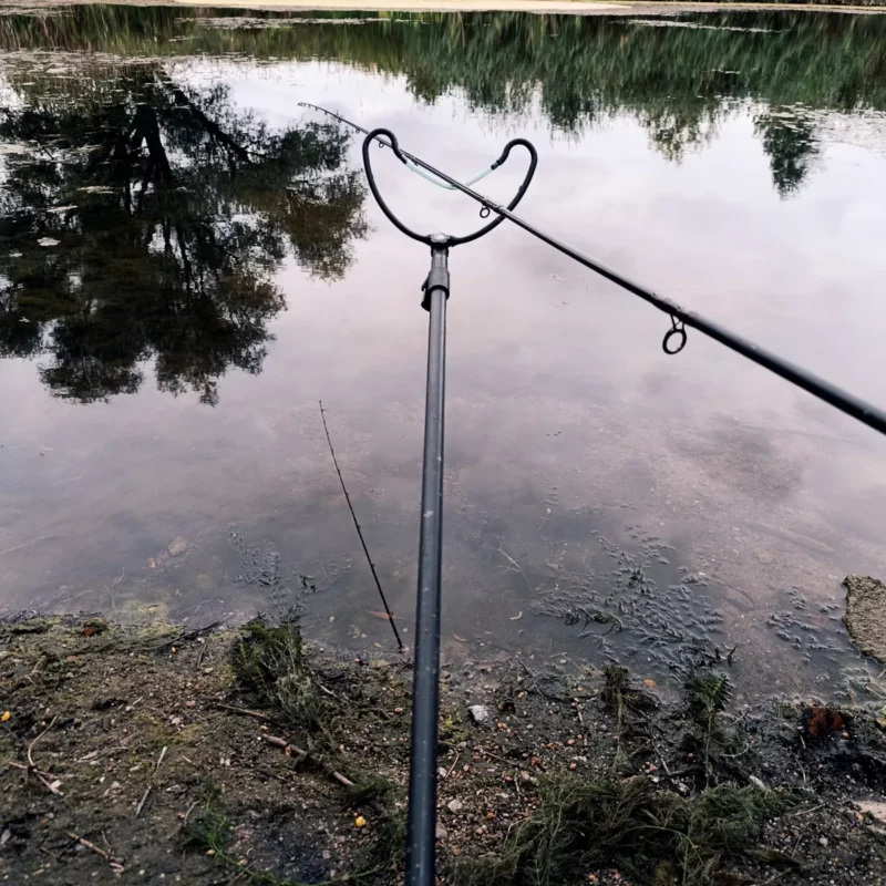 Black Cat Bankstick beim Test am Teich