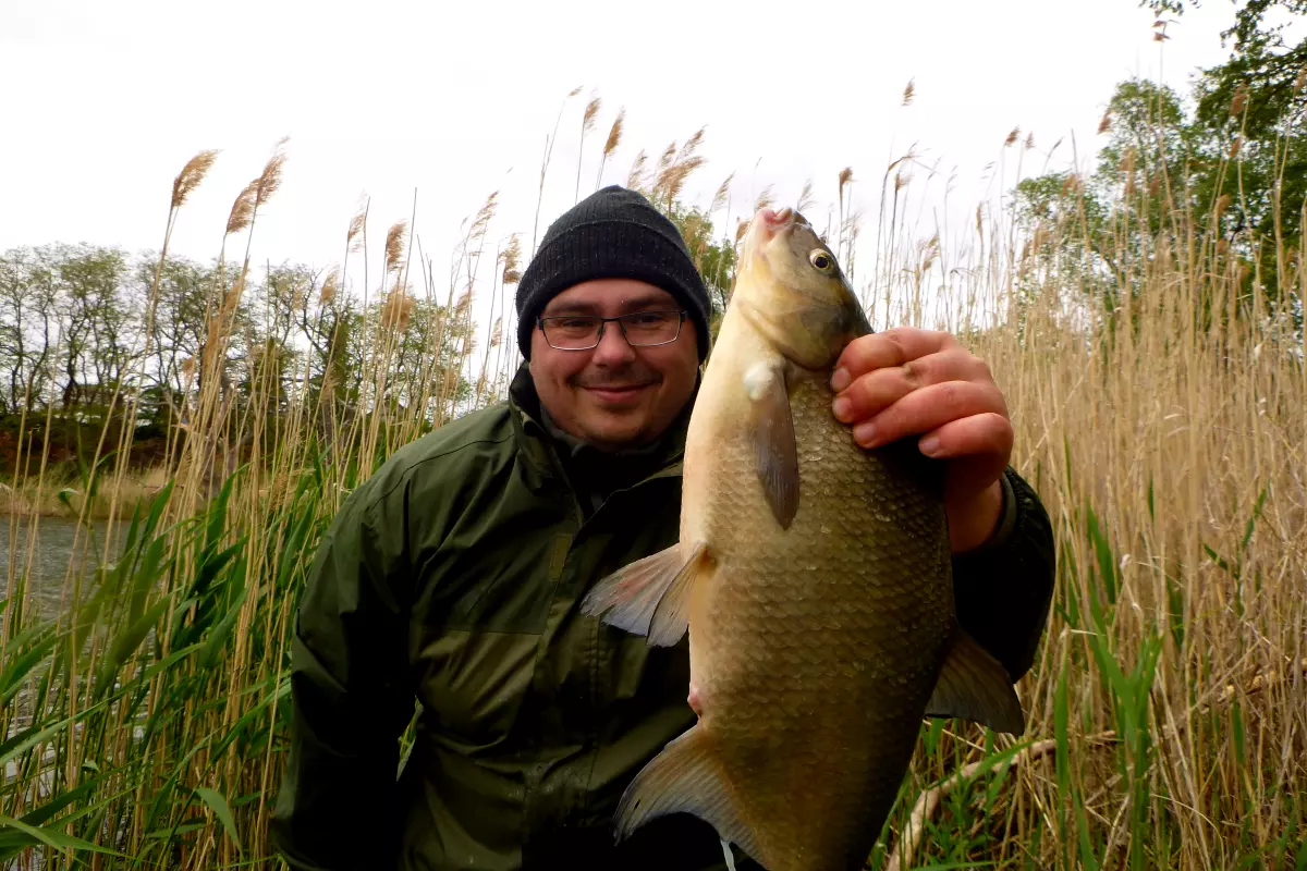 Brassen Angeln mit dem Hybrid Feeder