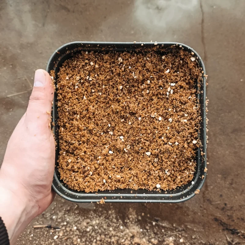 Feederfutter für die Elbe im März