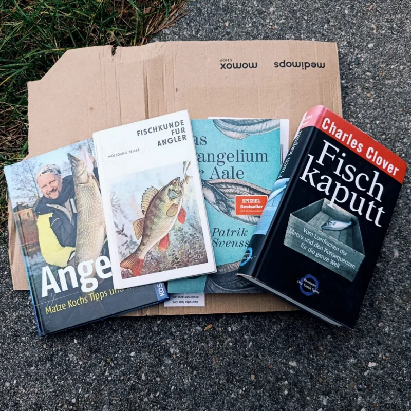 Angelbücher von meiner Buchwanderung