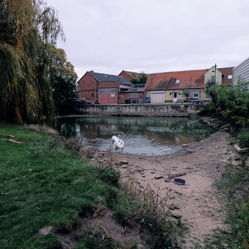 kleiner Dorfteich in Miltern