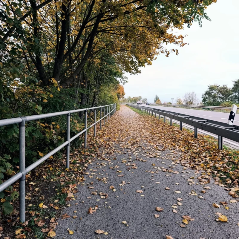 Brücke im Herbst mit goldenen Blättern auf dem Asphalt
