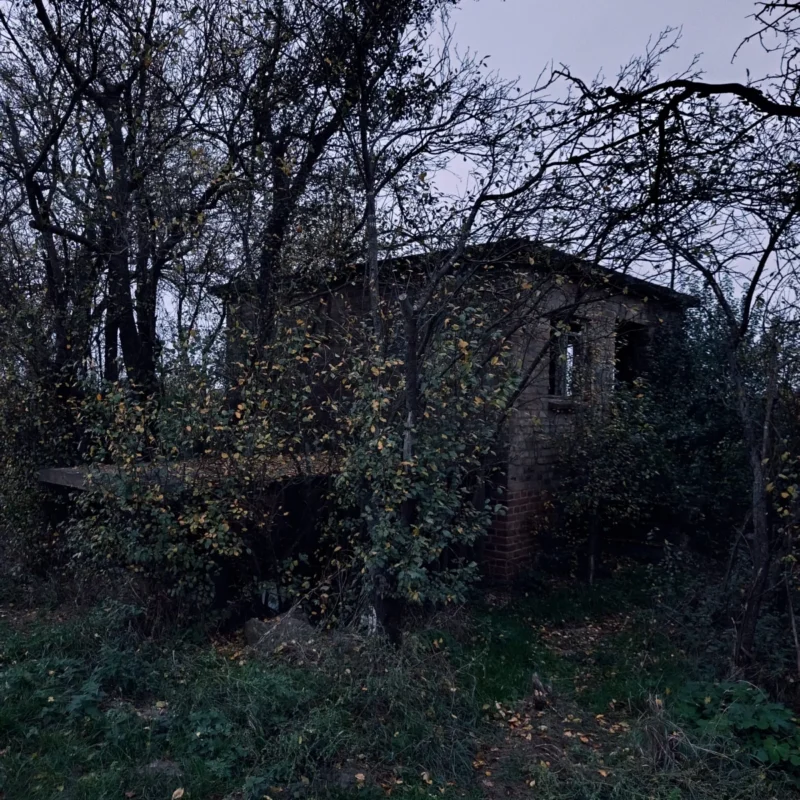 alter Kabuff am Wegrand