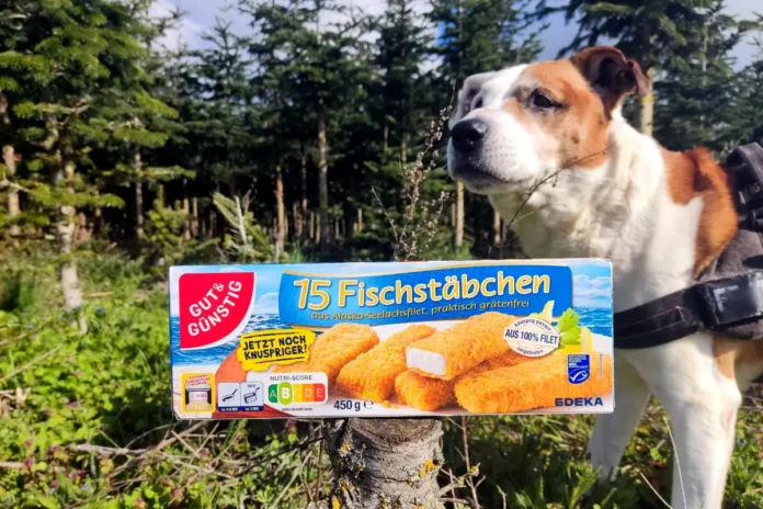 Dürfen Hunde Fischstäbchen essen?