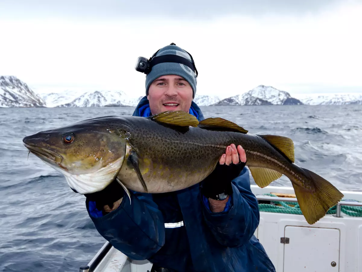 Angler mit Dorsch auf Boot