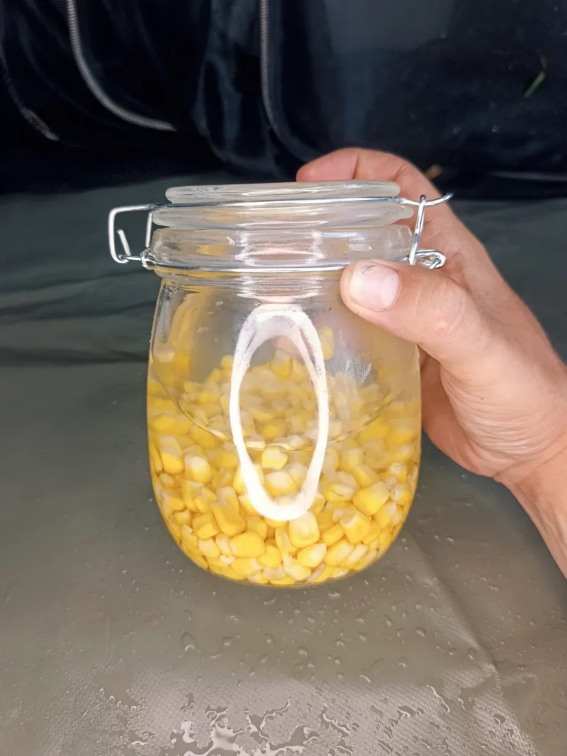 Dosenmais in frischem Wasser im Schraubglas, um ihn länger haltbar zu machen