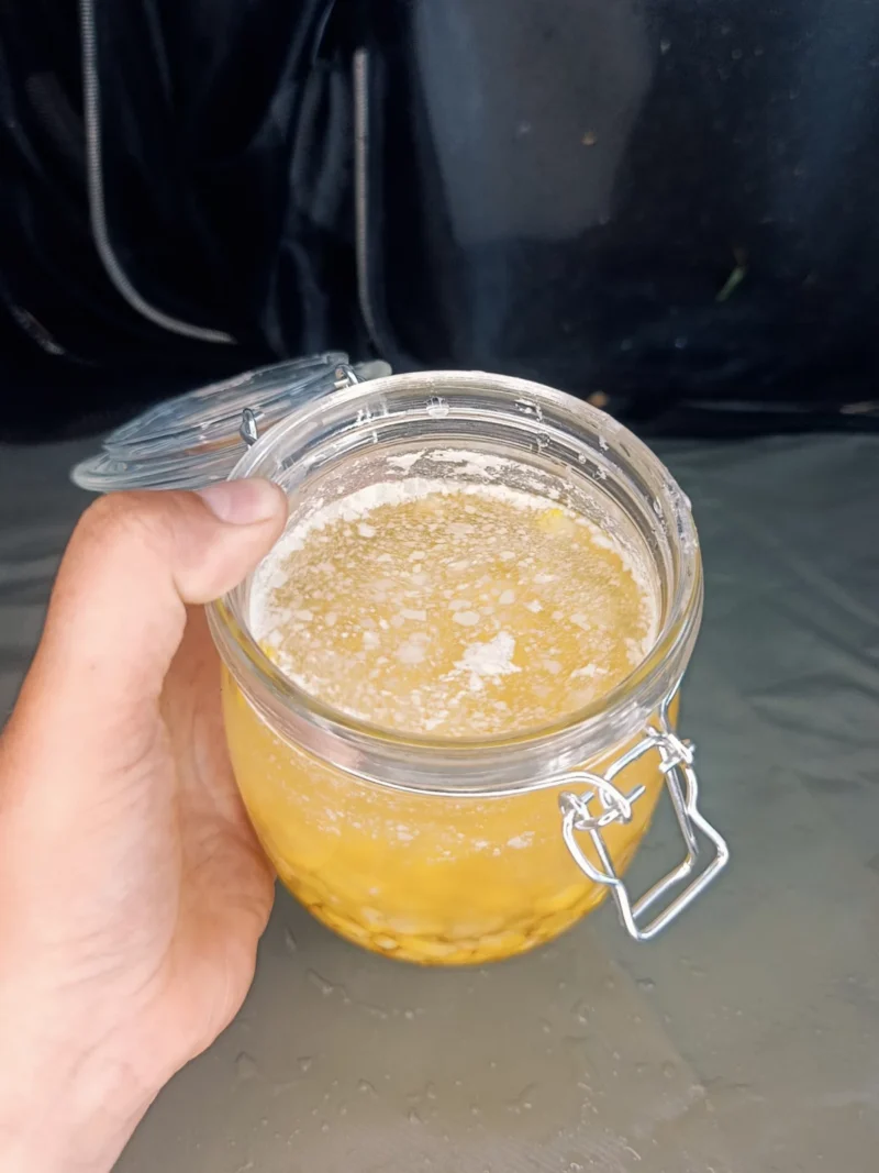 Dosenmais mit angedicktem und weiß gelb gefärbten Wasser in einem Schraubglas