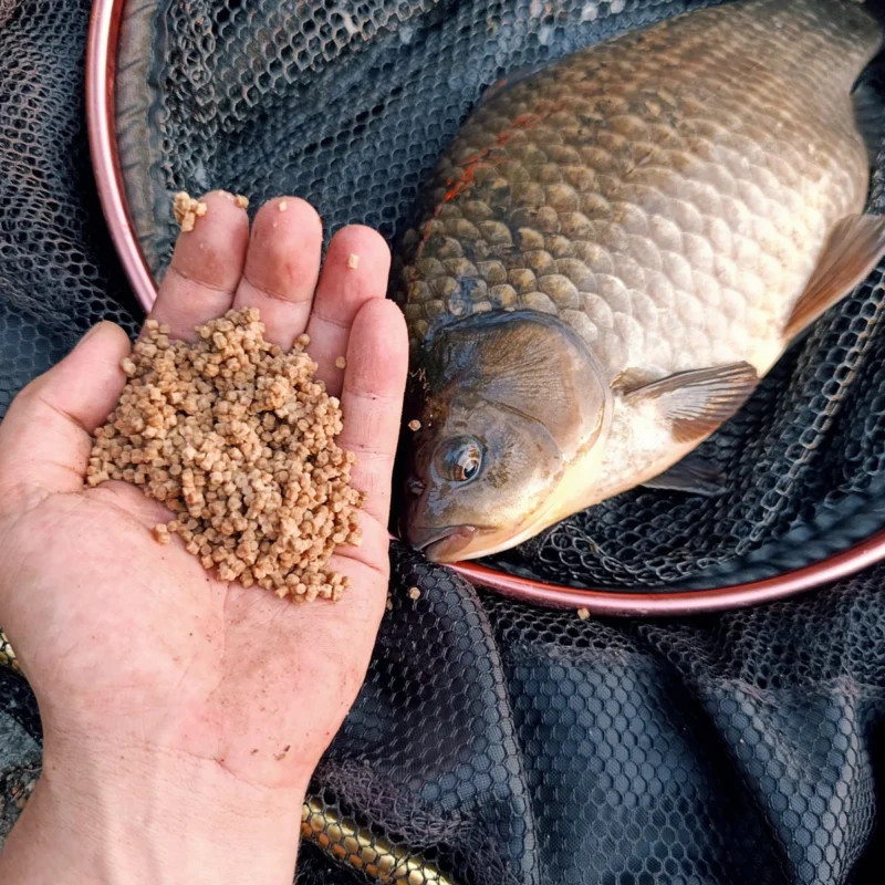 Giebel mit Dynamite Method Feeder Pellets