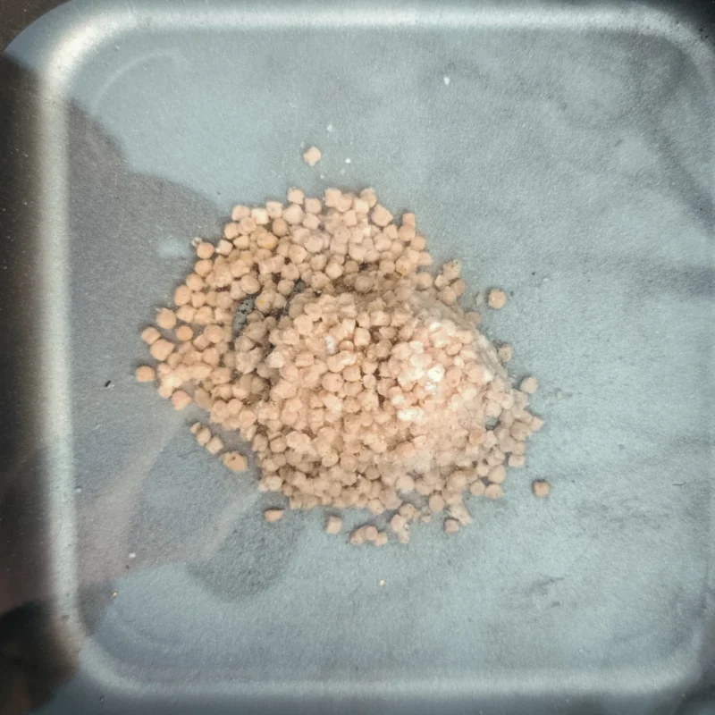 Dynamite Baits Big Fish Method Feeder Pellets Lösung vom Method Feeder nach 2 Minuten