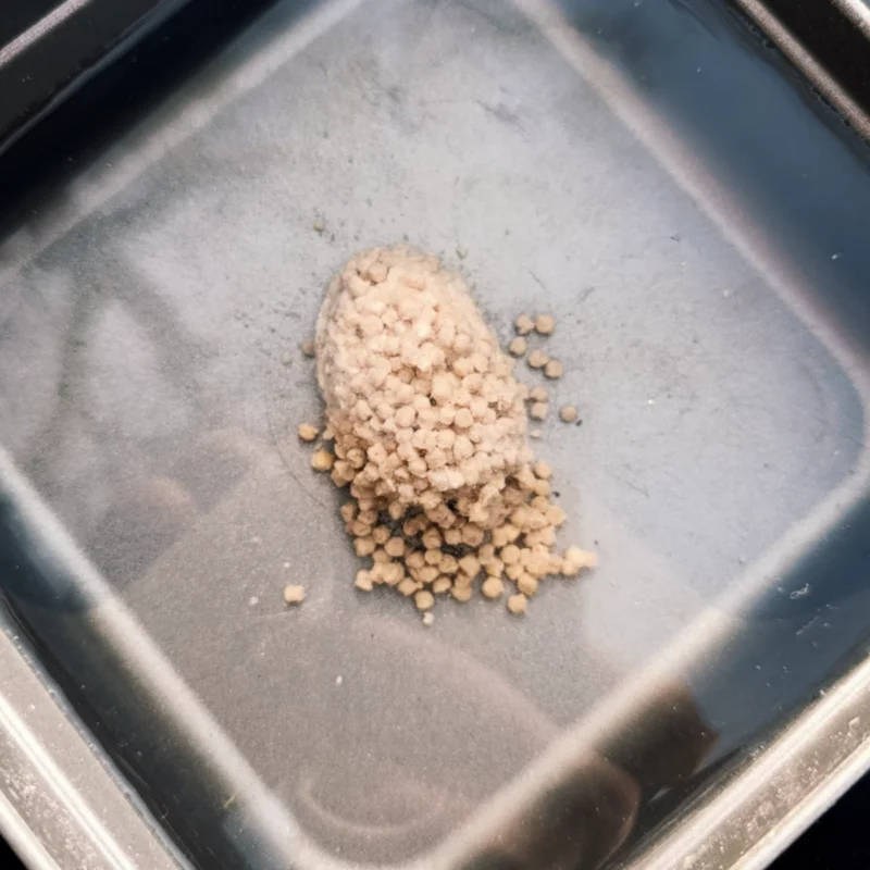 Dynamite Baits Big Fish Method Feeder Pellets Auflöseverhalten nach 54 Sekunden im Wasser