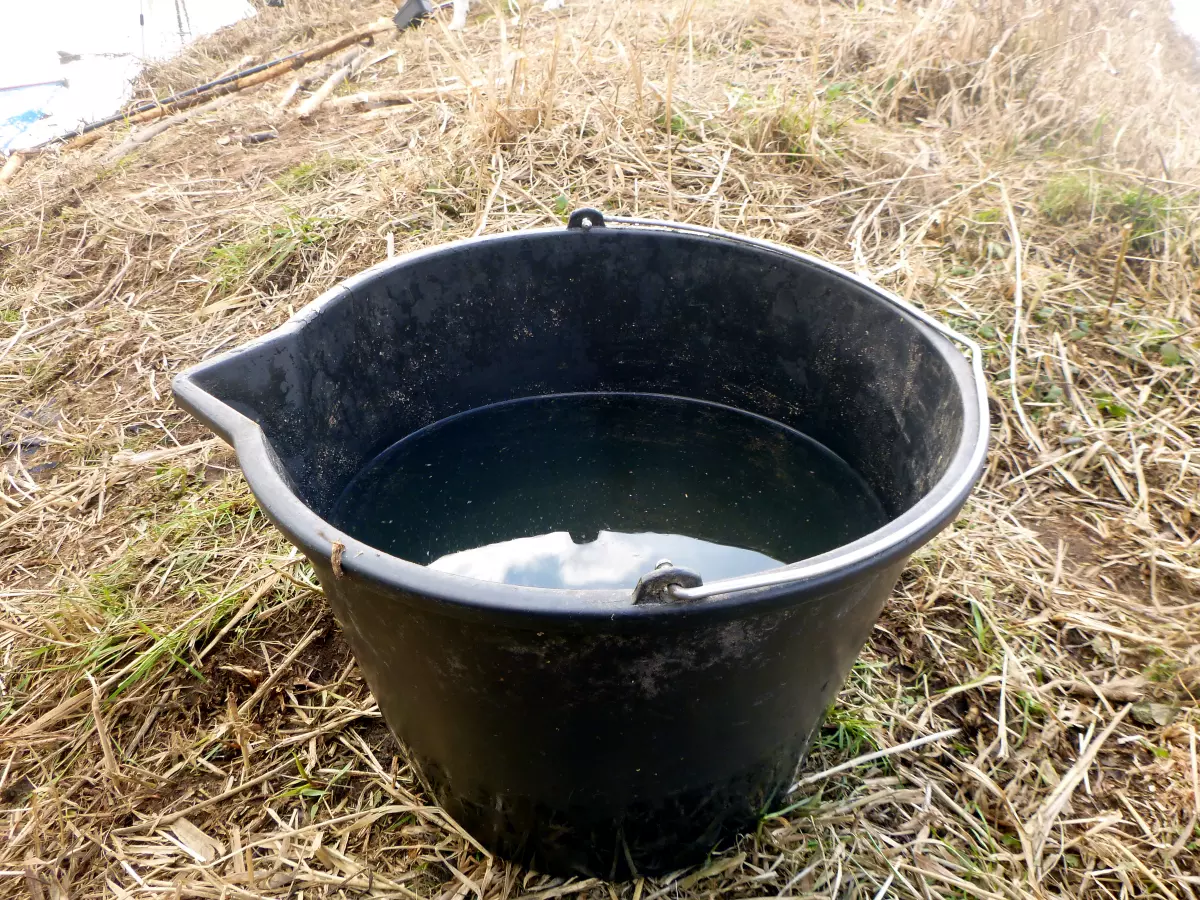 Wasser im Eimer zum Vorbereiten von Angelweizen