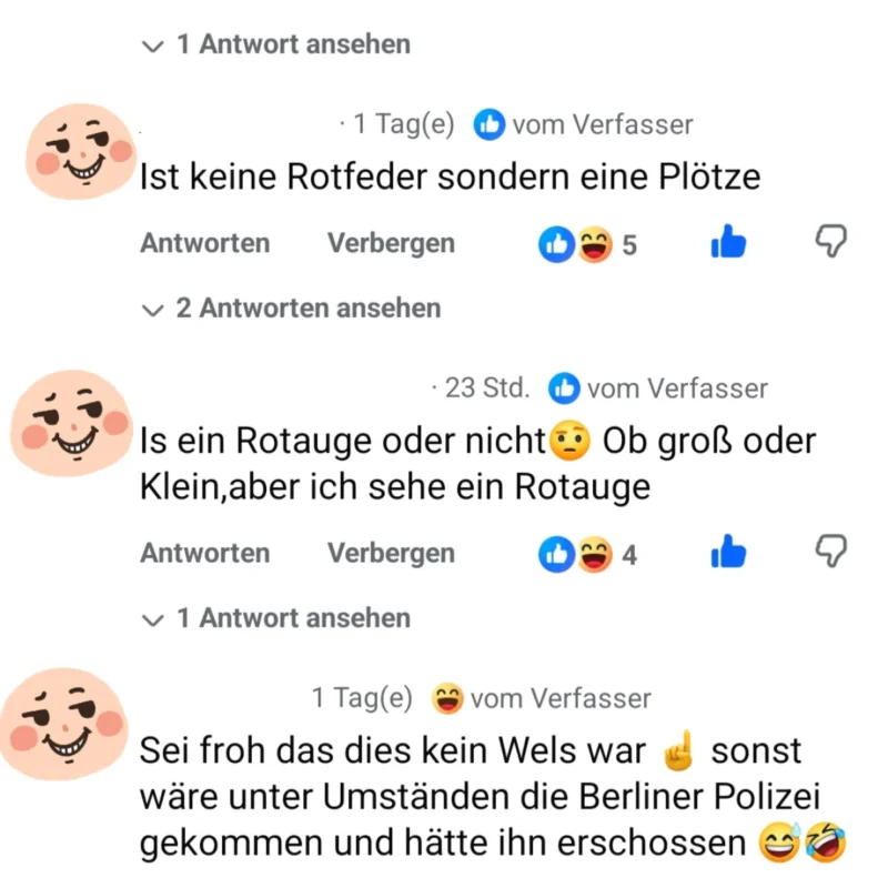 Facebook Rotaugen Rotfeder Diskussion