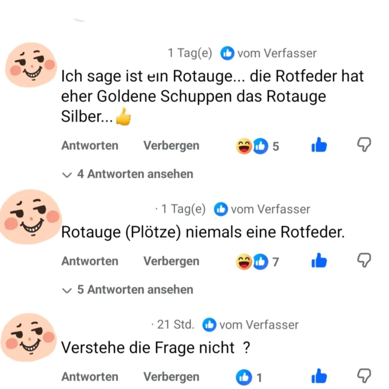 Rotfeder Schuppenfarbe Kommentar