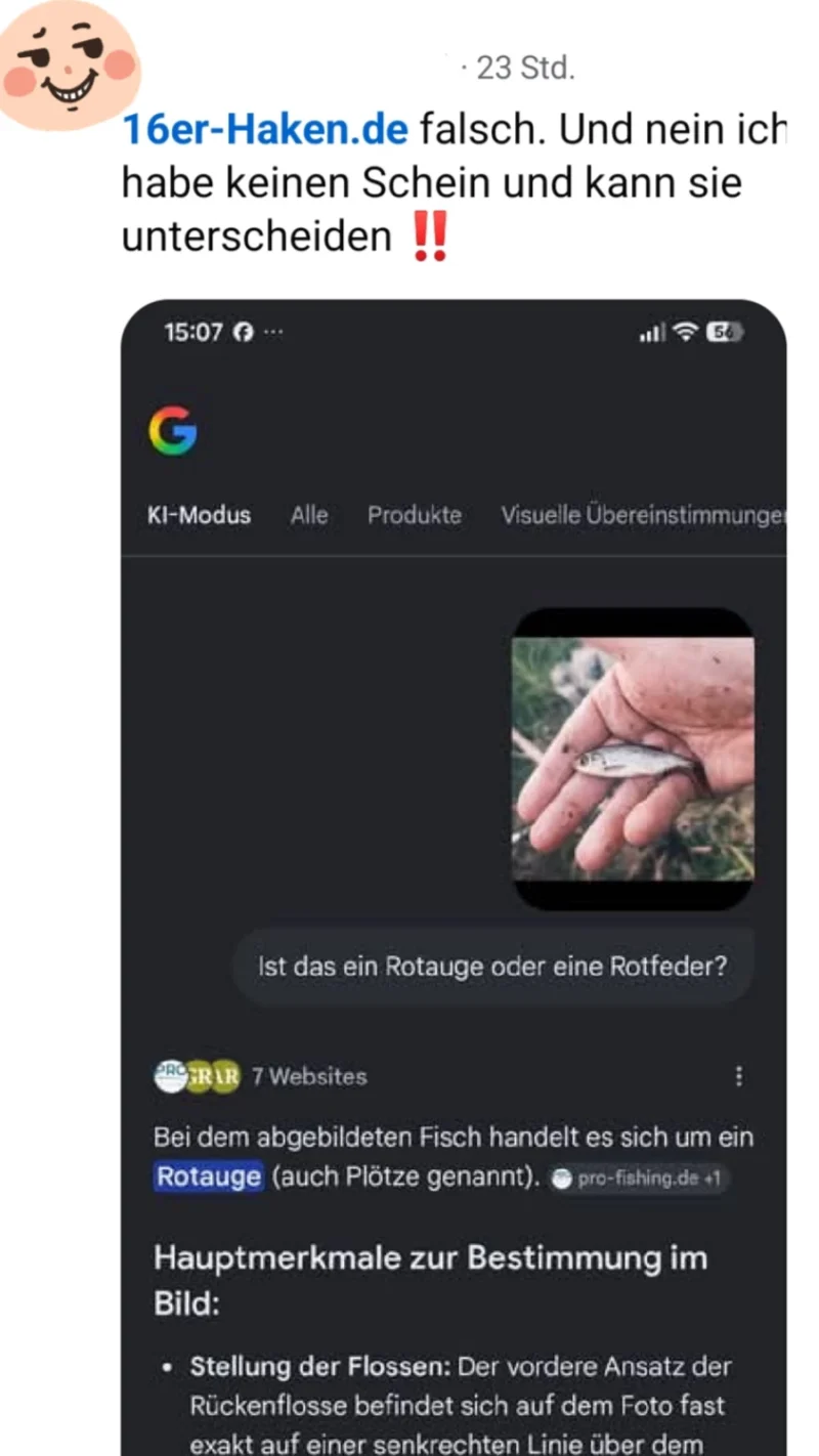 KI Antwort auf eine Fischbestimmungsfrage bei einer Rotfeder