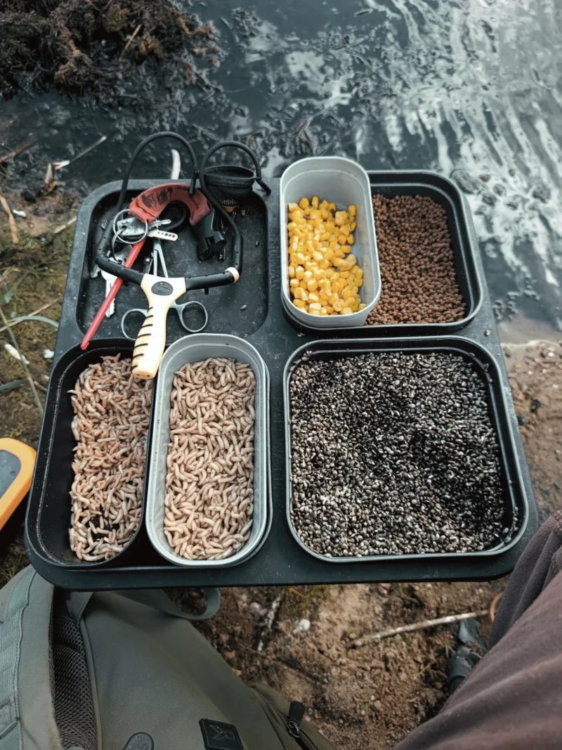 Hanf, Mais, Pellets, Maden und Pinkies auf einem Futtertisch