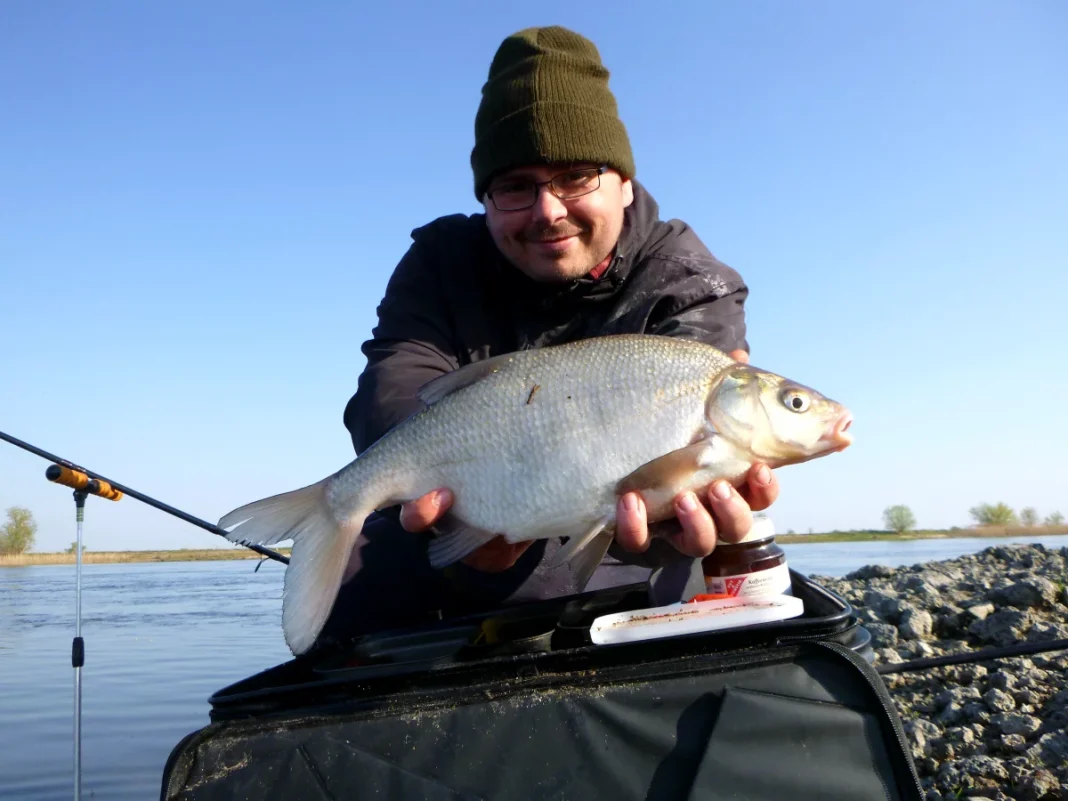 Feedern im Frühjahr an der flachen Buhne