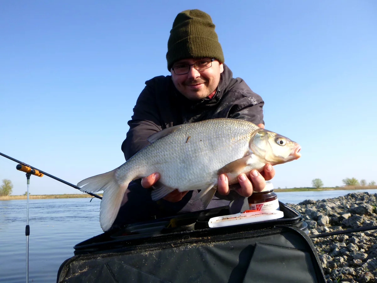 Feedern im Frühjahr an der flachen Buhne