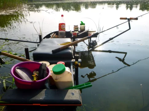 Feedern im Frühling