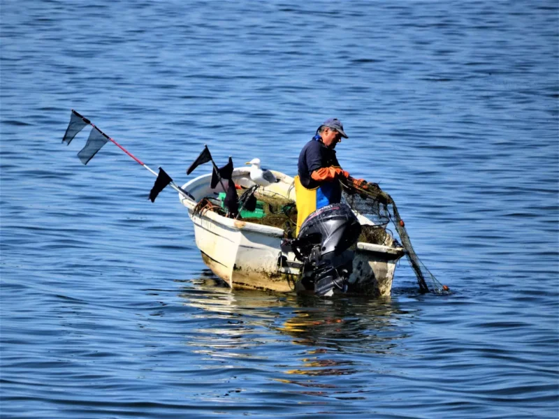 Fischer auf seinem Boot mit Aalreusen