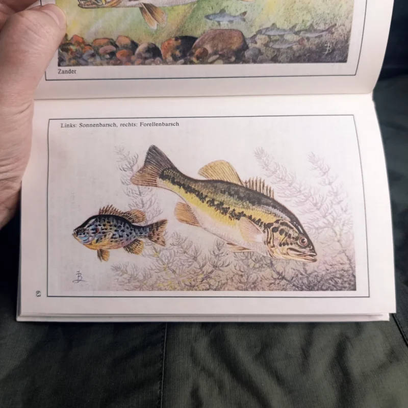 Fischkunde von Wolfgang Zeiske mit einer Bildtafel vom Schwarzbarsch