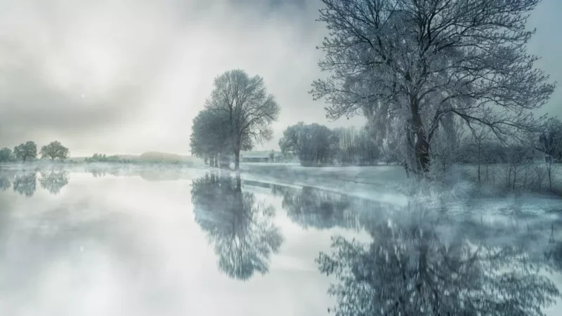 flacher Parkteich im Februar
