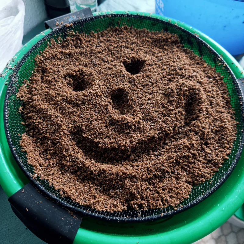 Lockfutter auf einem Eimer mit Sieb