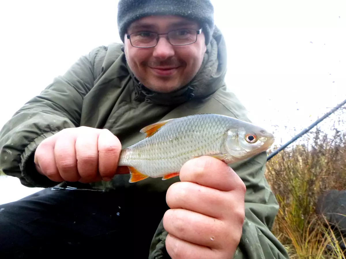 Rotauge gefangen im Winter mit Gewürzen im Angelfutter