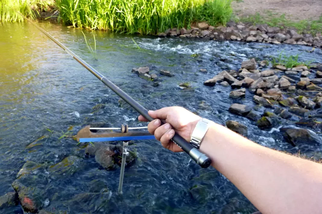 Grundangeln mit der Stipprute