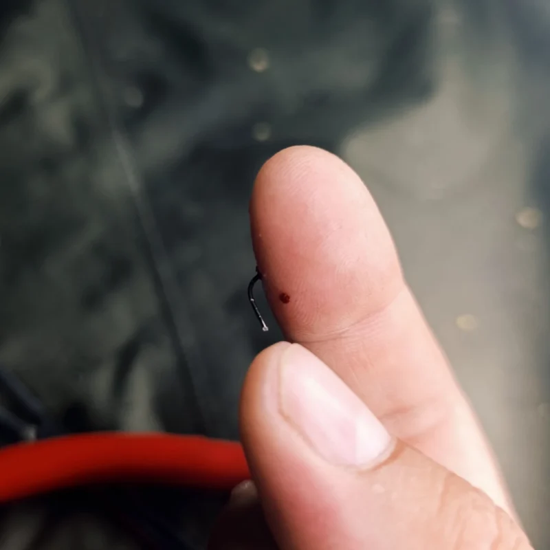 Plättchen vom Haken mit dem Seitenschneider entfernen
