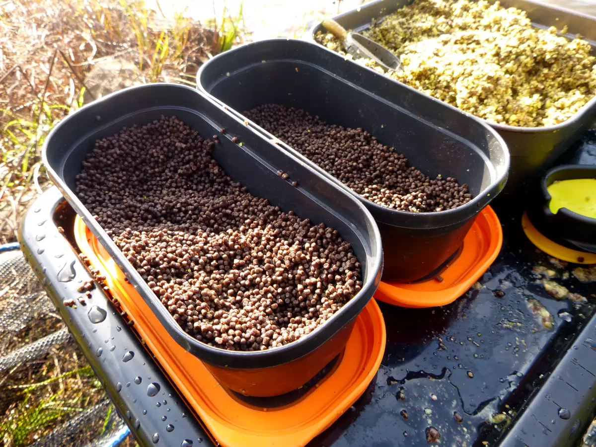 Halibut Pellets 2mm zum Method Feedern