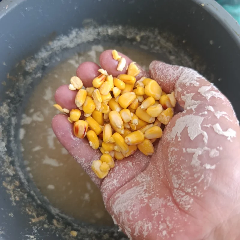 gequollener Hartmais im Futterfass