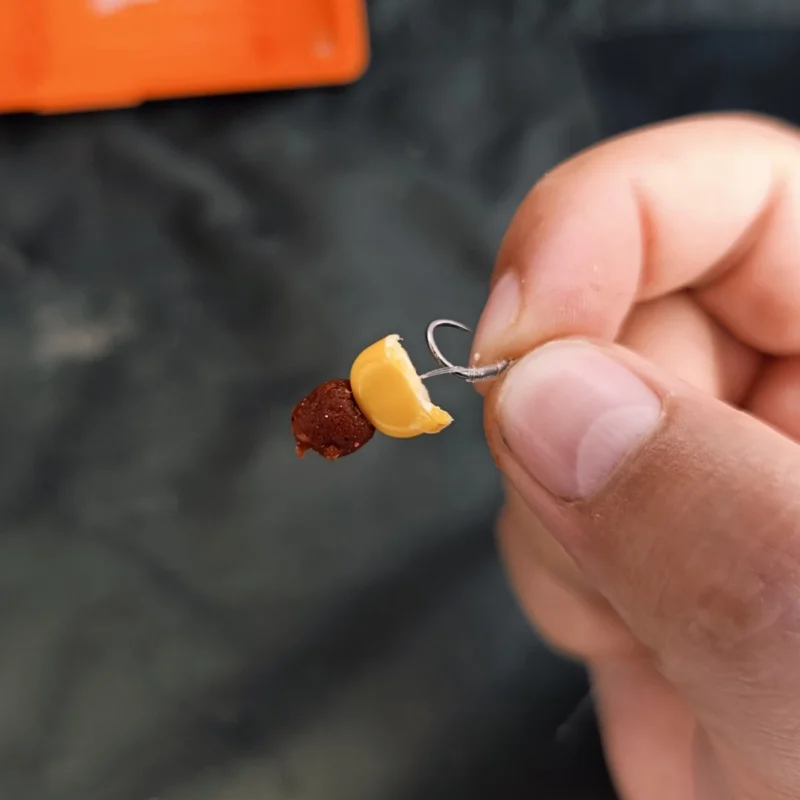 Hartmais mit Softpellet anködern